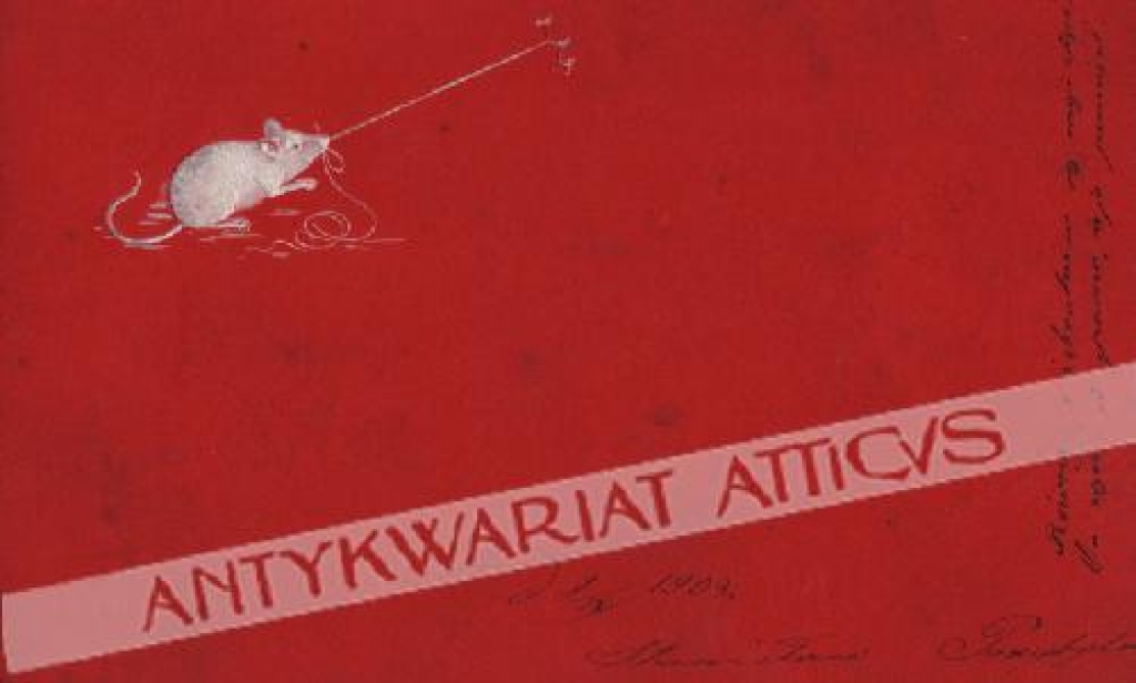 [pocztówka, 1903] Bez tytułu