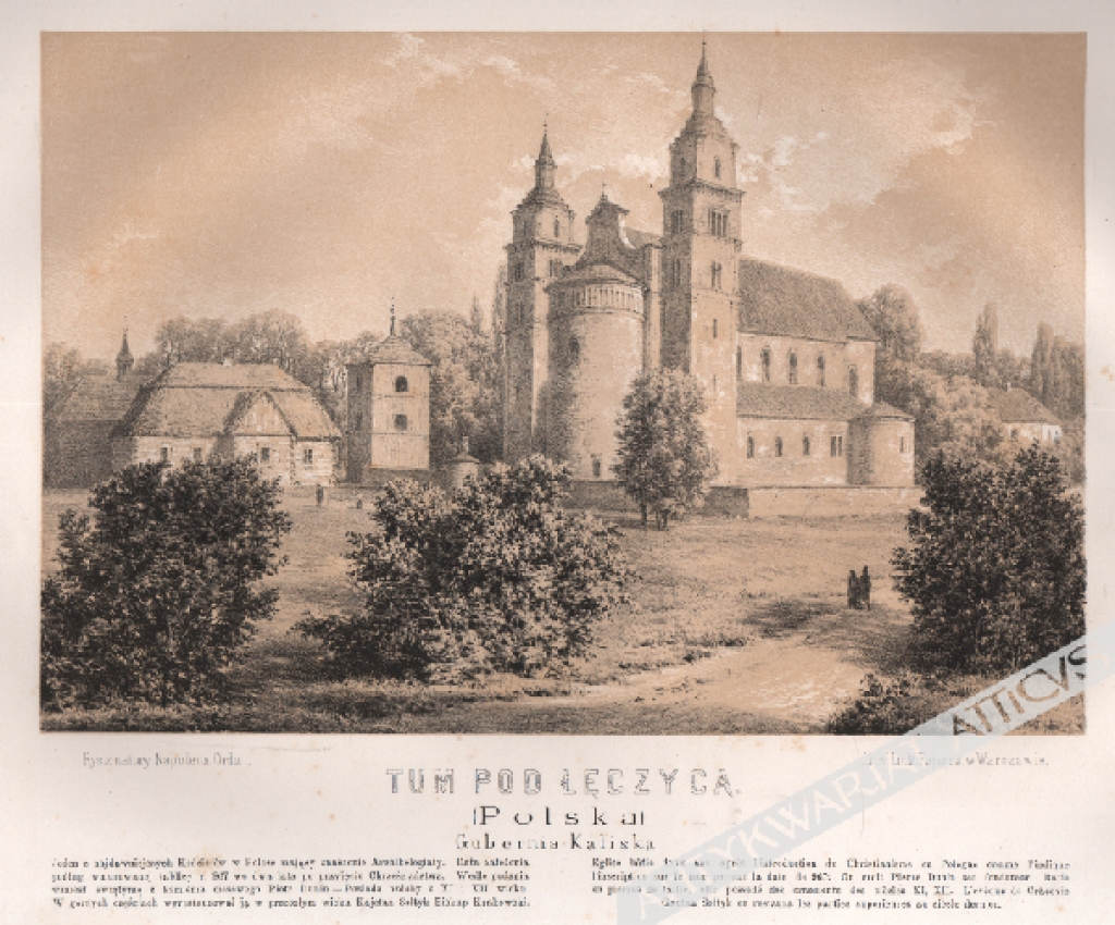 [rycina, 1873-1883] Tum pod Łęczycą (Polska). Gubernia Kaliska