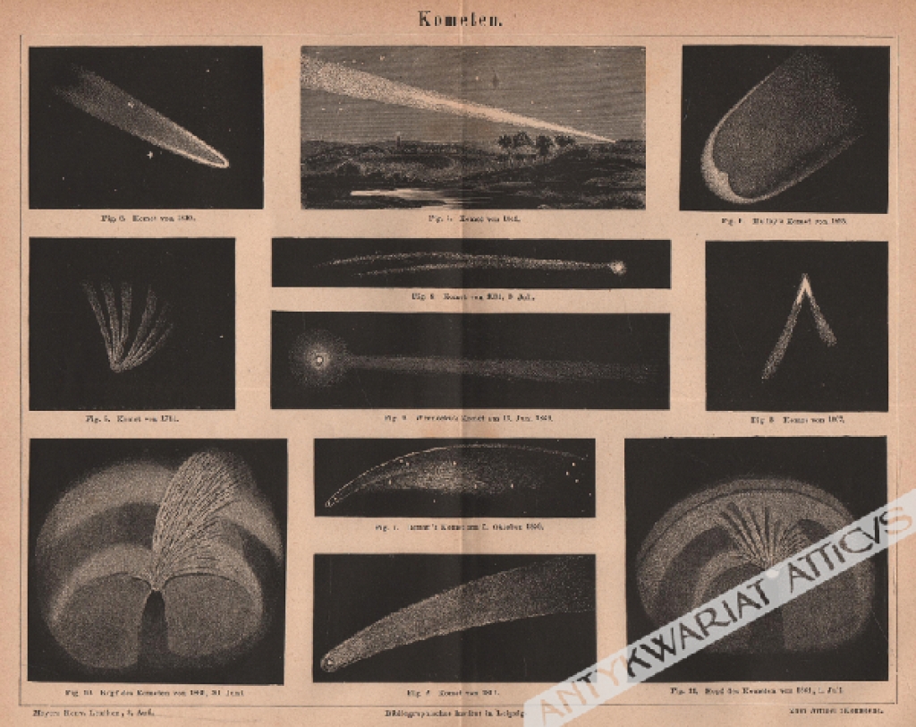 [rycina, 1878] Kometen [komety]