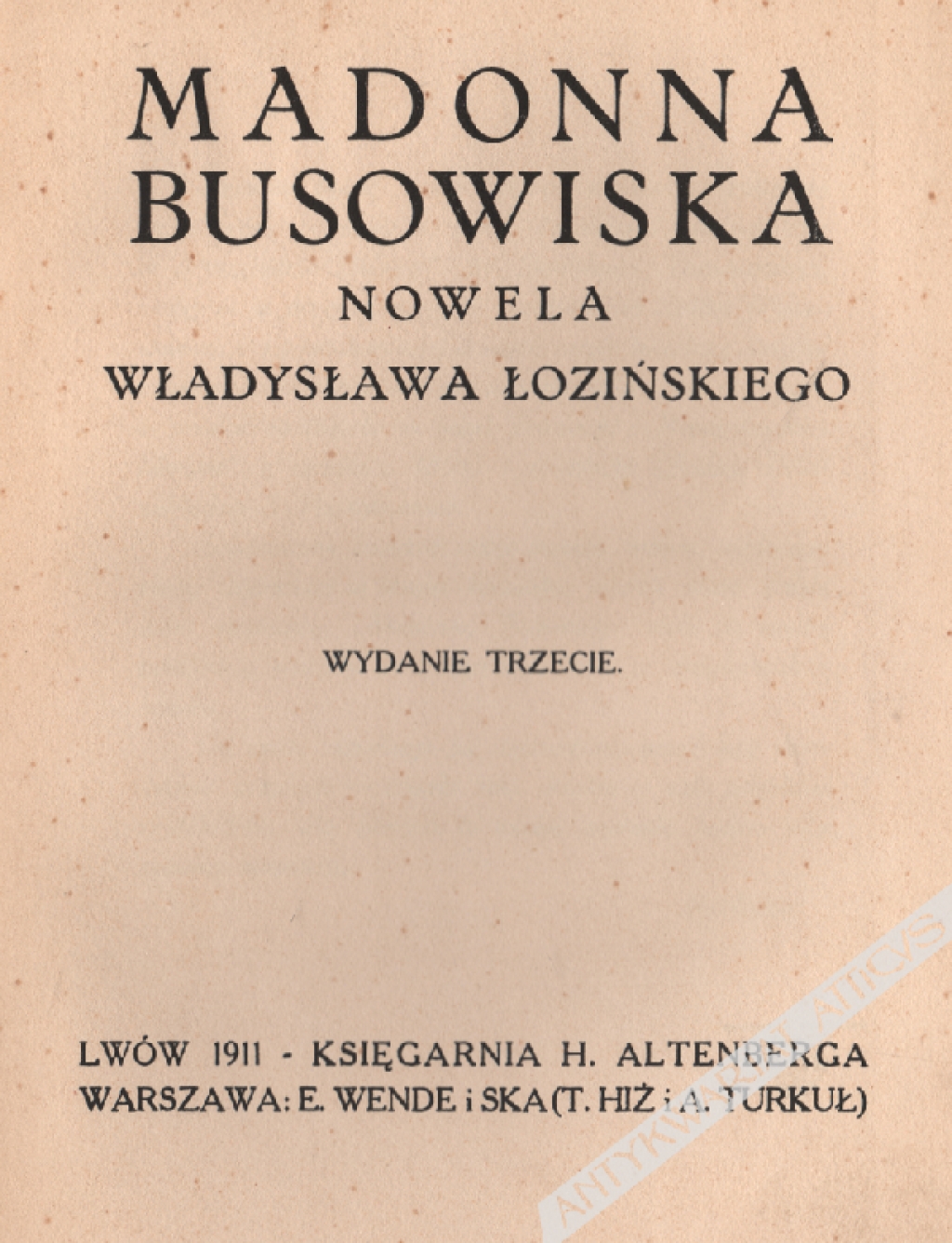 Madonna Busowiska. Nowela