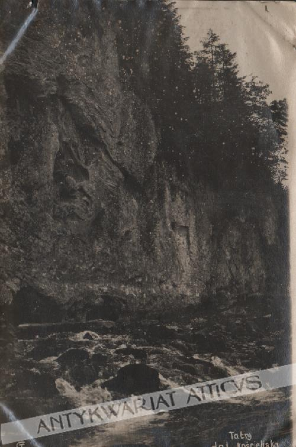 [fotografia na papierze pocztówkowym, lata 1920-te] Tatry dol. Kościeliska