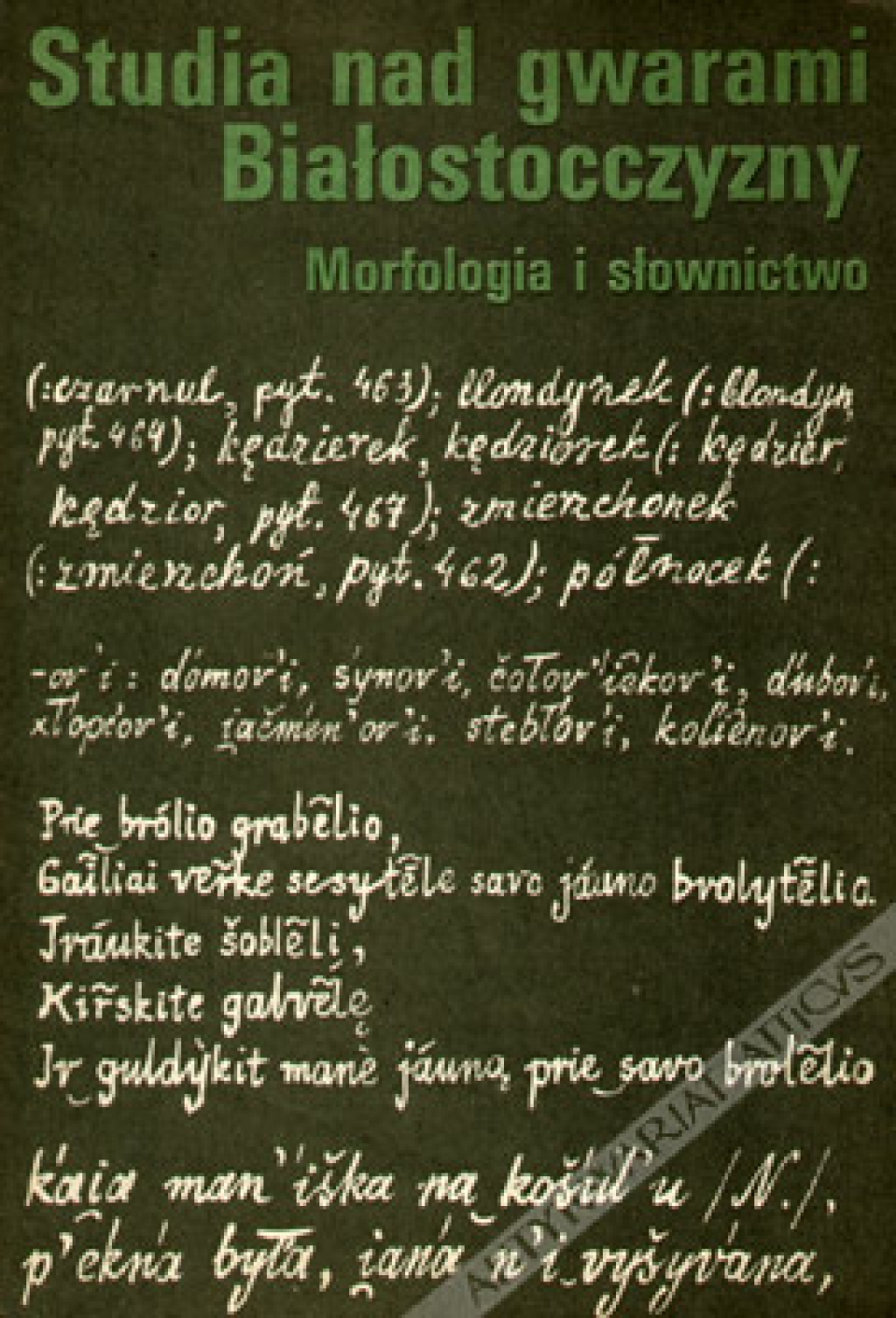 Studia nad gwarami Białostocczyzny. Morfologia i słownictwo