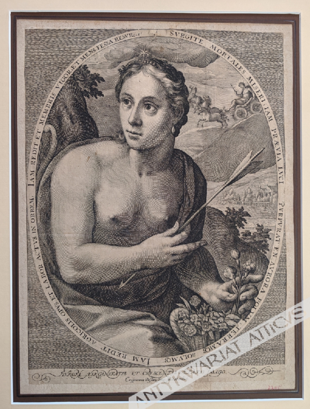 [rycina, ok. 1590] Aurora Virginitatis et crescents aetatis imago