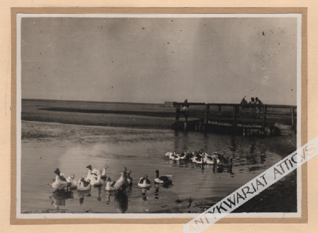 [fotografia, 1928] Pomorze. Mechelinki, wieś rybacka. 