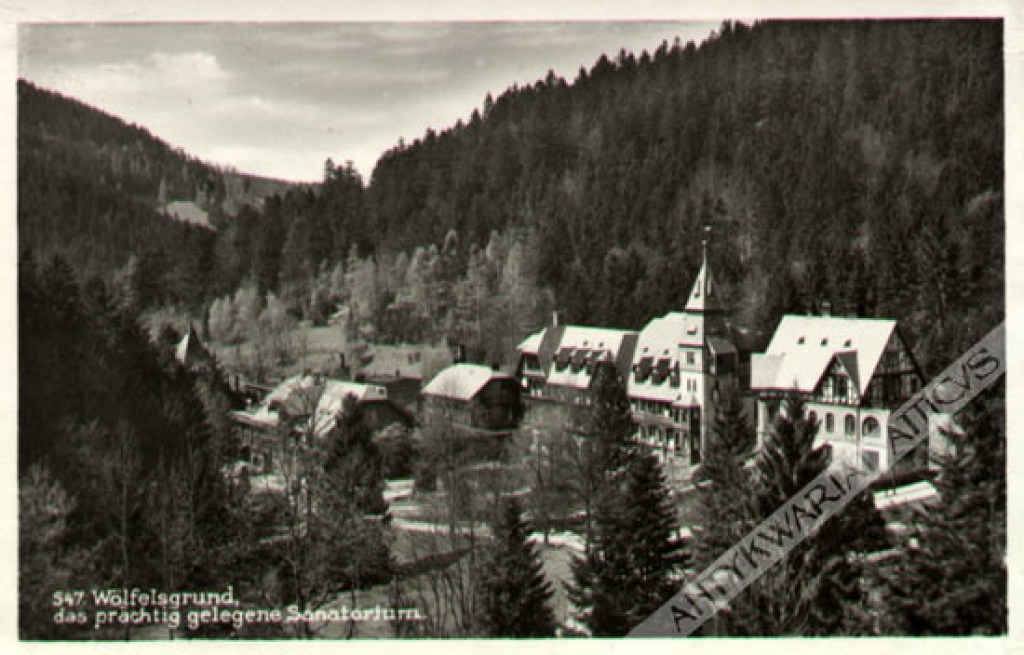 [pocztówka] [Międzygórze, Dolny Śląsk] Wolfelsgrund, das prachtig gelegene Sanatorium