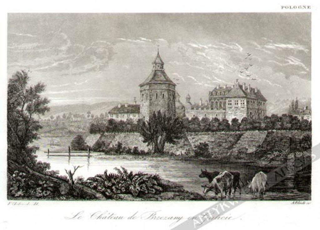[rycina, 1839-1841] Le Chateau de Brzezany en Galicie [zamek w Brzeżanach w Galicji]