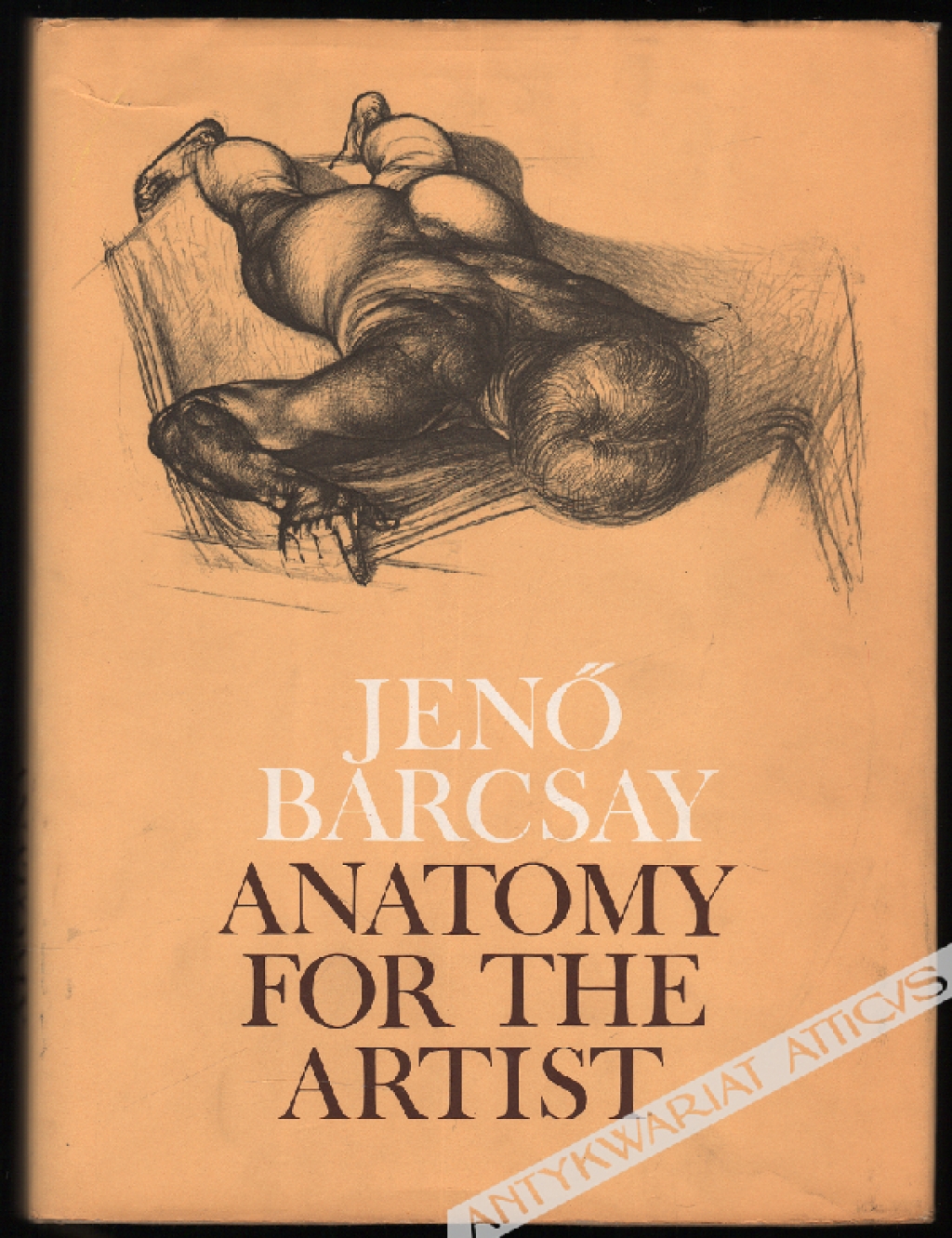 Anatomy for the artist