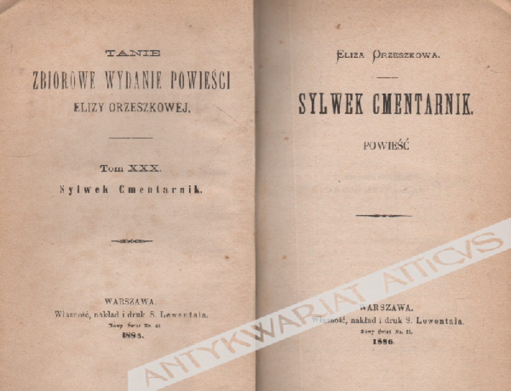 Sylwek Cmentarnik. Powieść