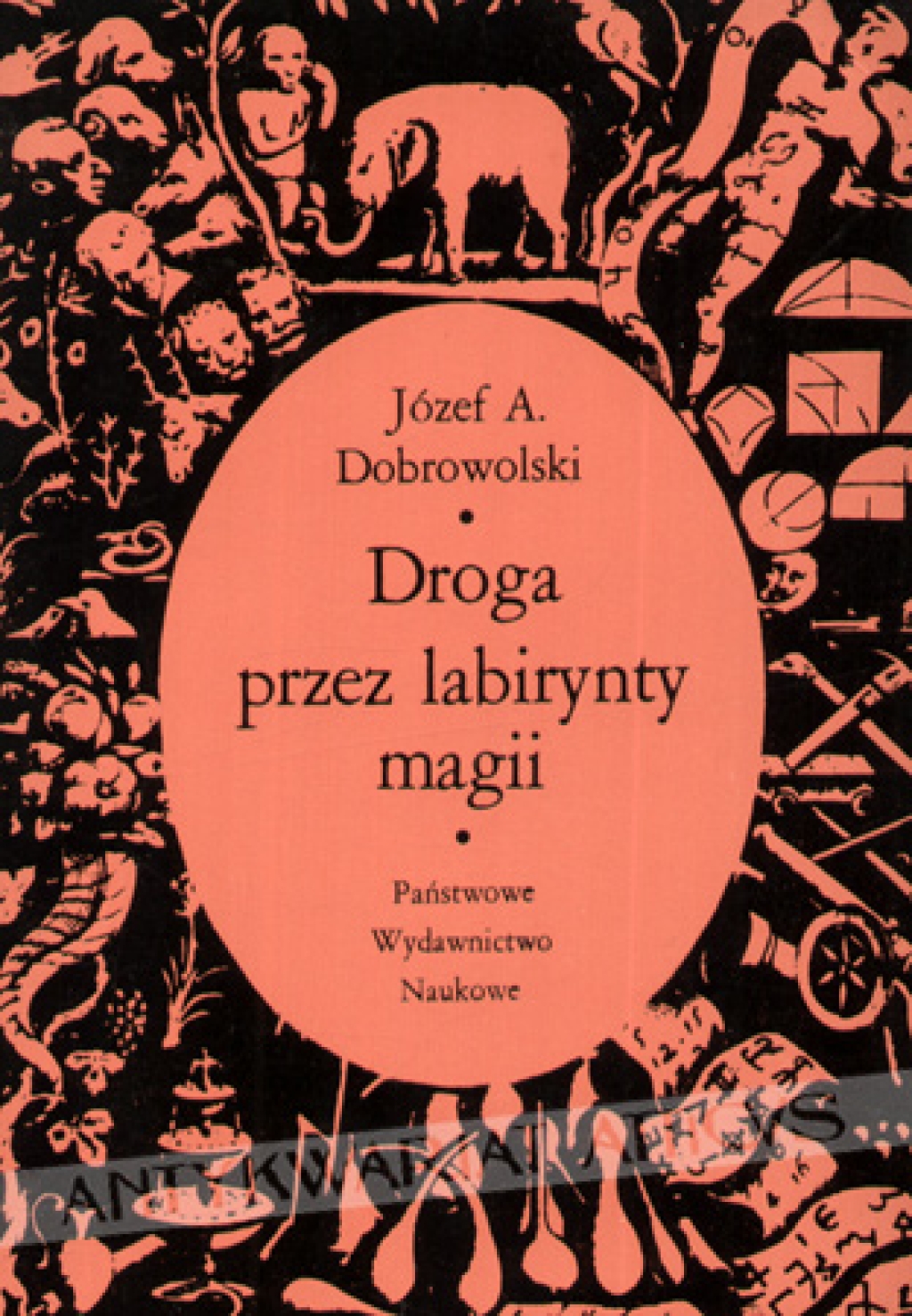 Droga przez labirynty magii. Giambattista Della Porta (1535-1615)