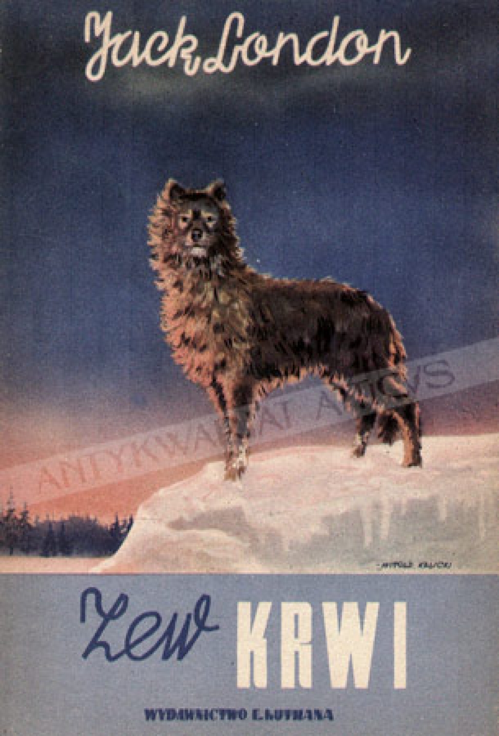 Zew krwi (The Call of the Wild)