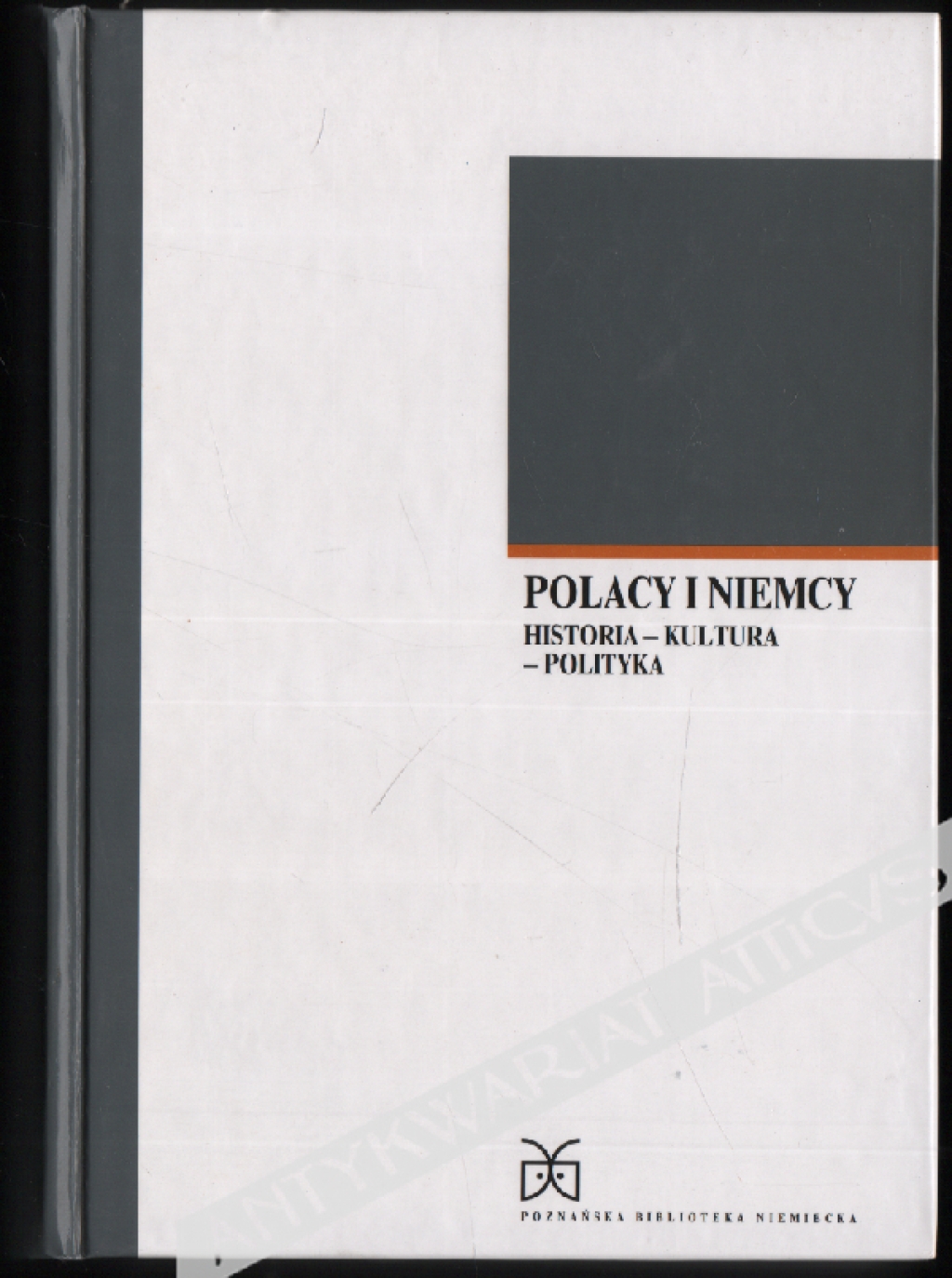 Polacy i Niemcy. Historia - kultura - polityka