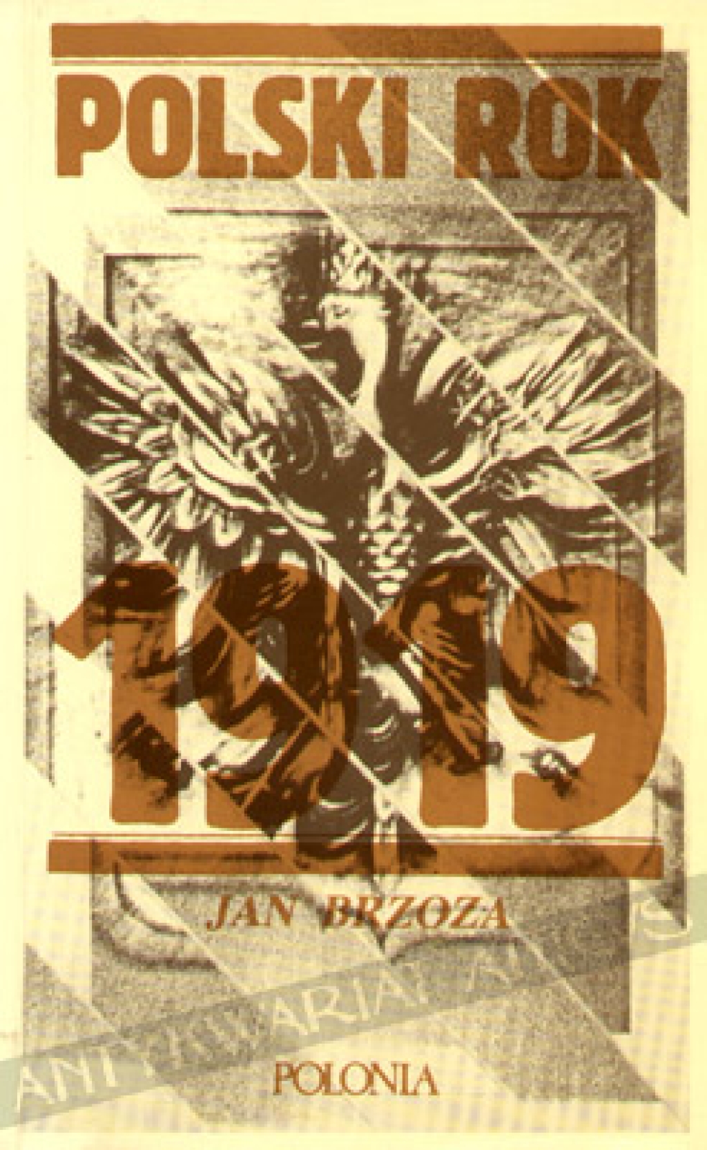 Polski rok 1919