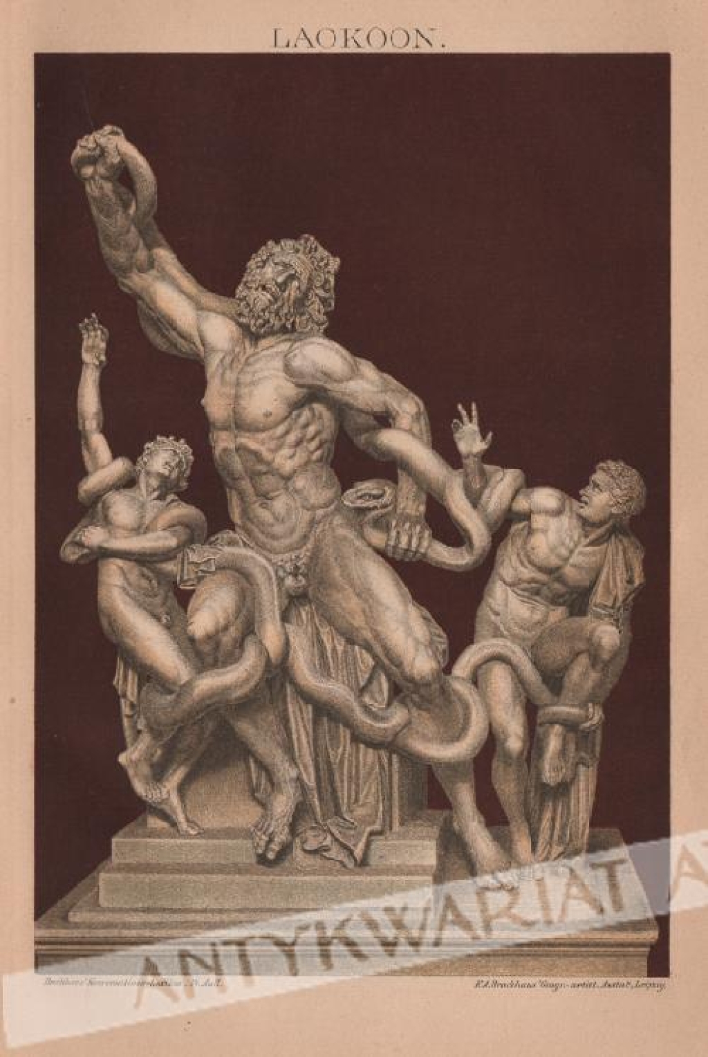 [rycina, 1894] Laokoon. [grupa Laokoona]