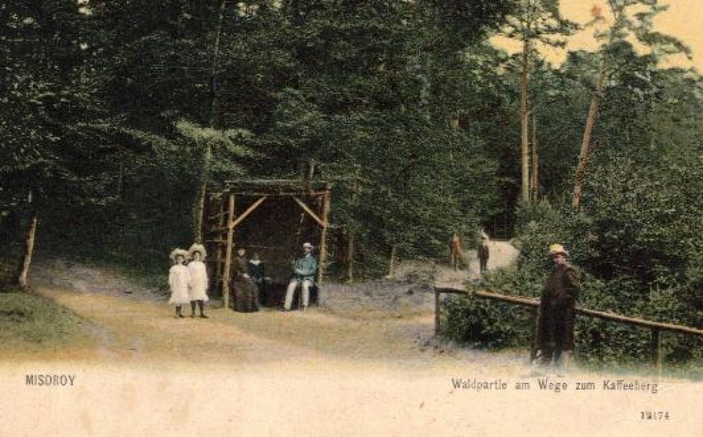 [pocztówka, 1904] [Międzyzdroje. Kawcza Góra] Misdroy. Waldpartie am Wege zum Kaffenberg