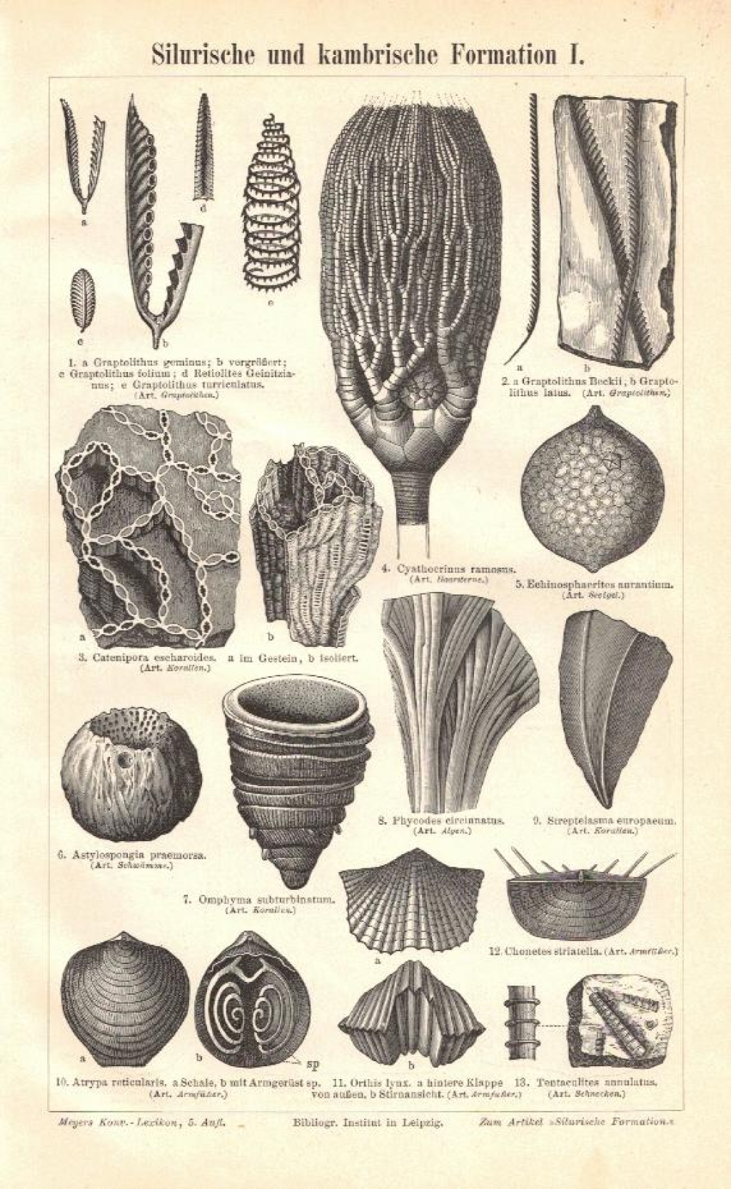 [rycina, 1897] Silurische und kambrische Formation I.-II. [fauna syluru i kambru]