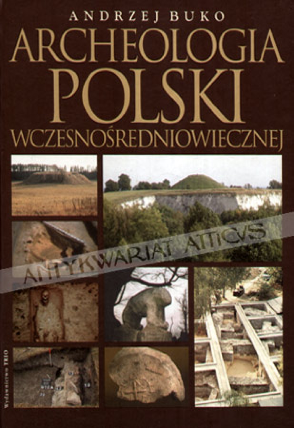 Archeologia Polski wczesnośredniowiecznej. Odkrycia - hipotezy - interpretacje
