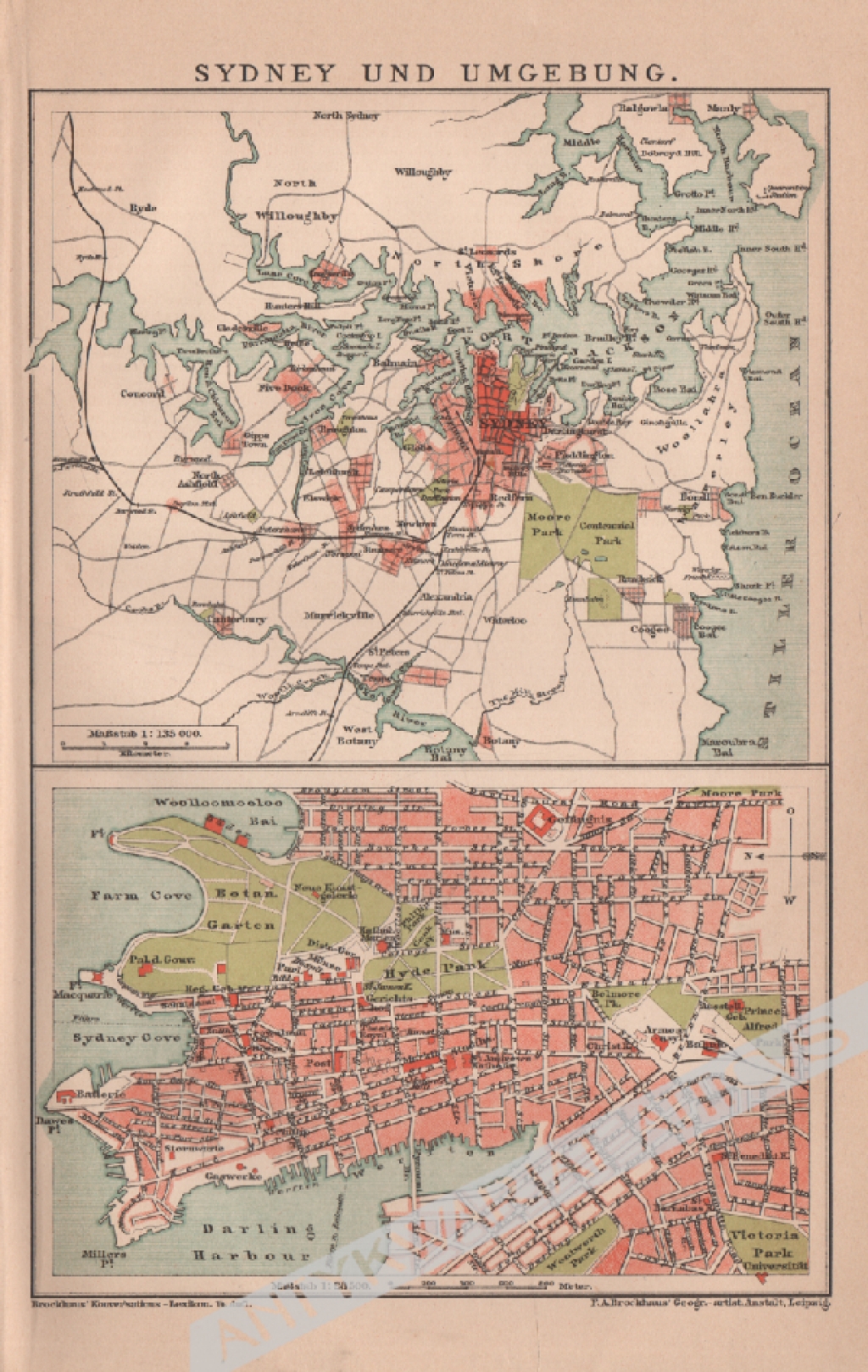 [plan miasta, 1899] Sydney und Umgebung [miasto Sydney i okolice]
