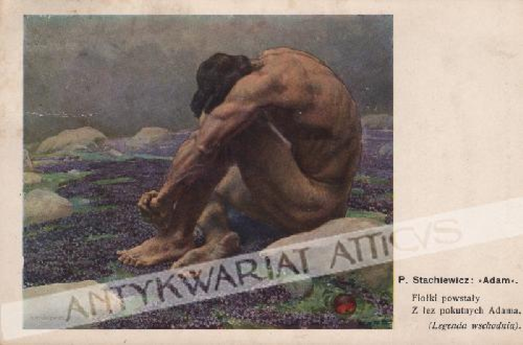 [pocztówka, 1910] Adam