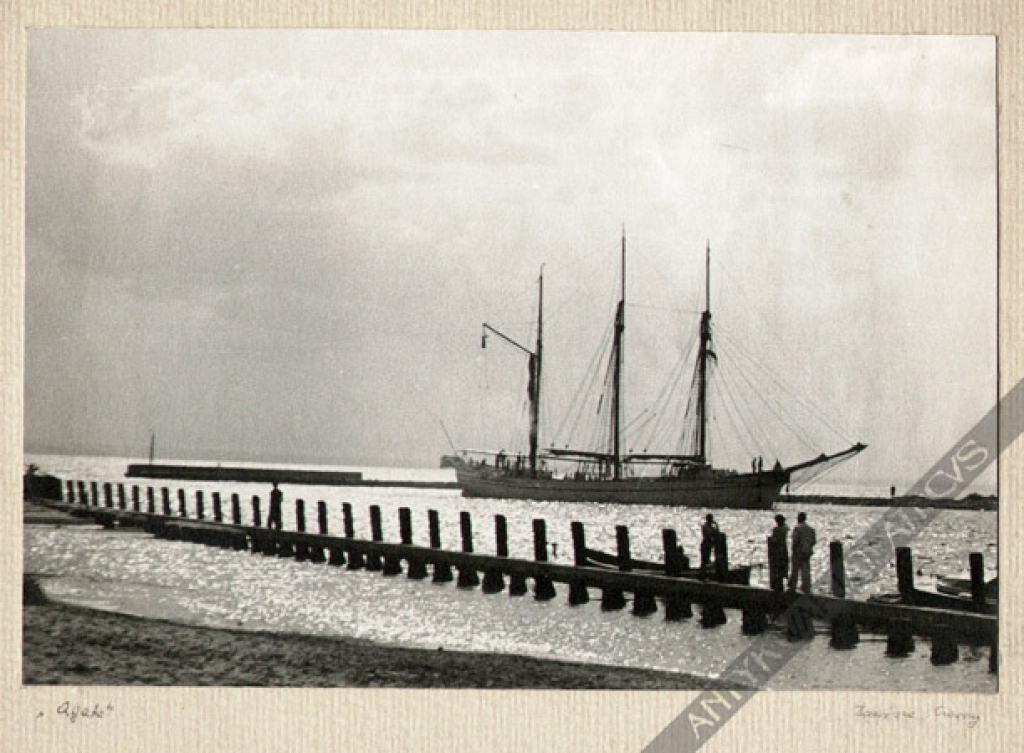 [fotografia, lata 1930] Zawisza Czarny