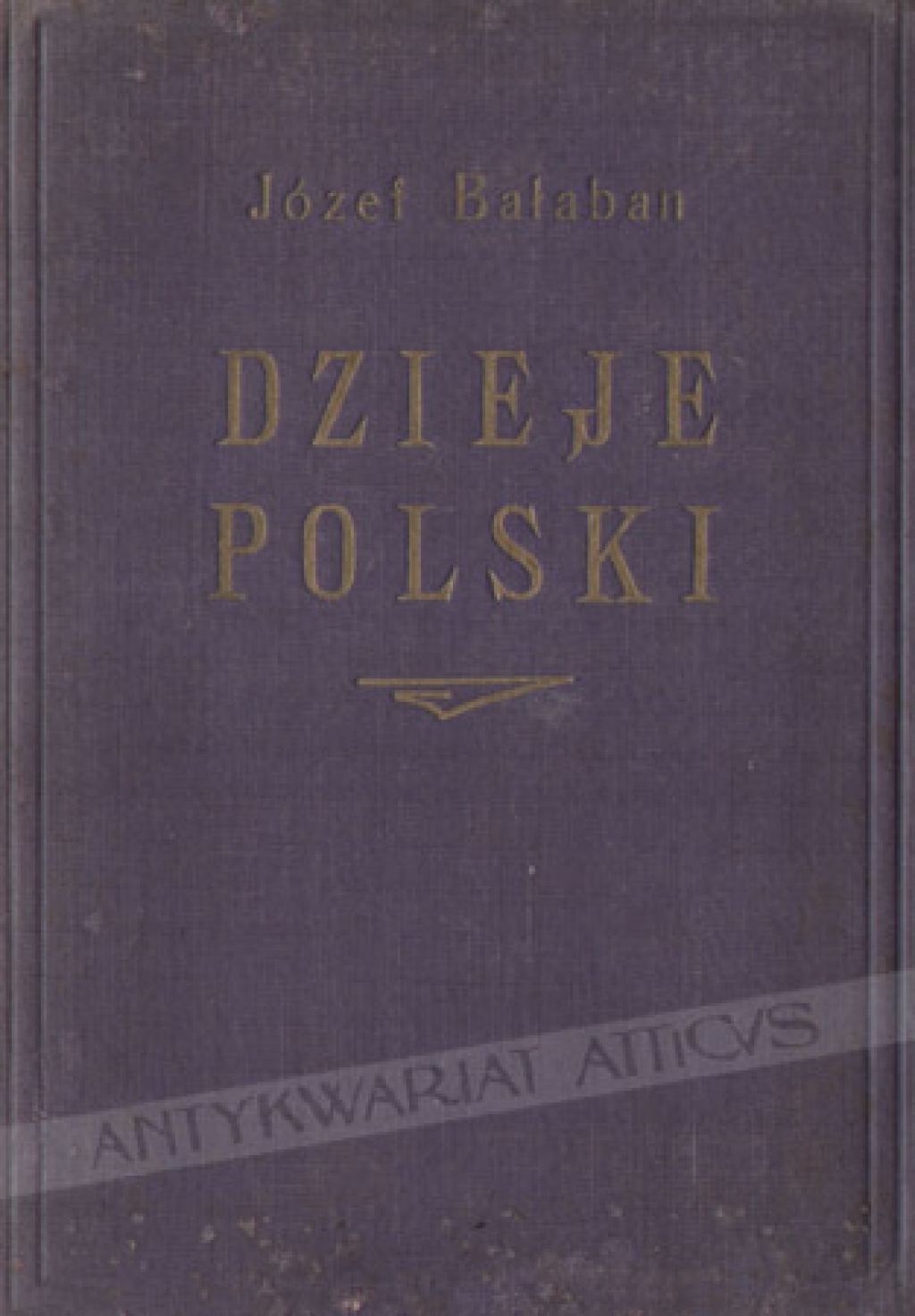 Dzieje Polski. Książka poglądowa dla dojrzalszej młodzieży i dorosłych
