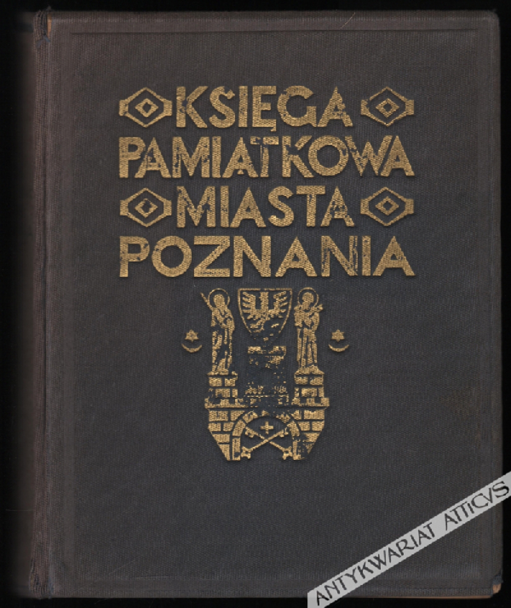 Księga pamiątkowa miasta Poznania. Dziesięć lat pracy Polskiego Zarządu stołecznego miasta Poznania