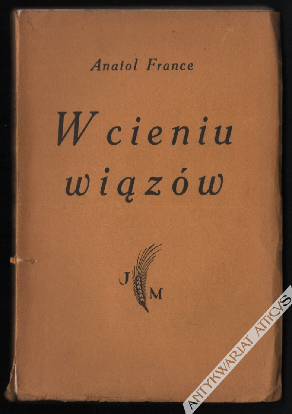W cieniu wiązów