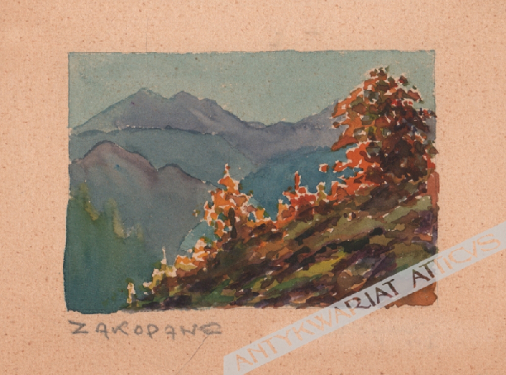 [rysunek, XX w.] Zakopane