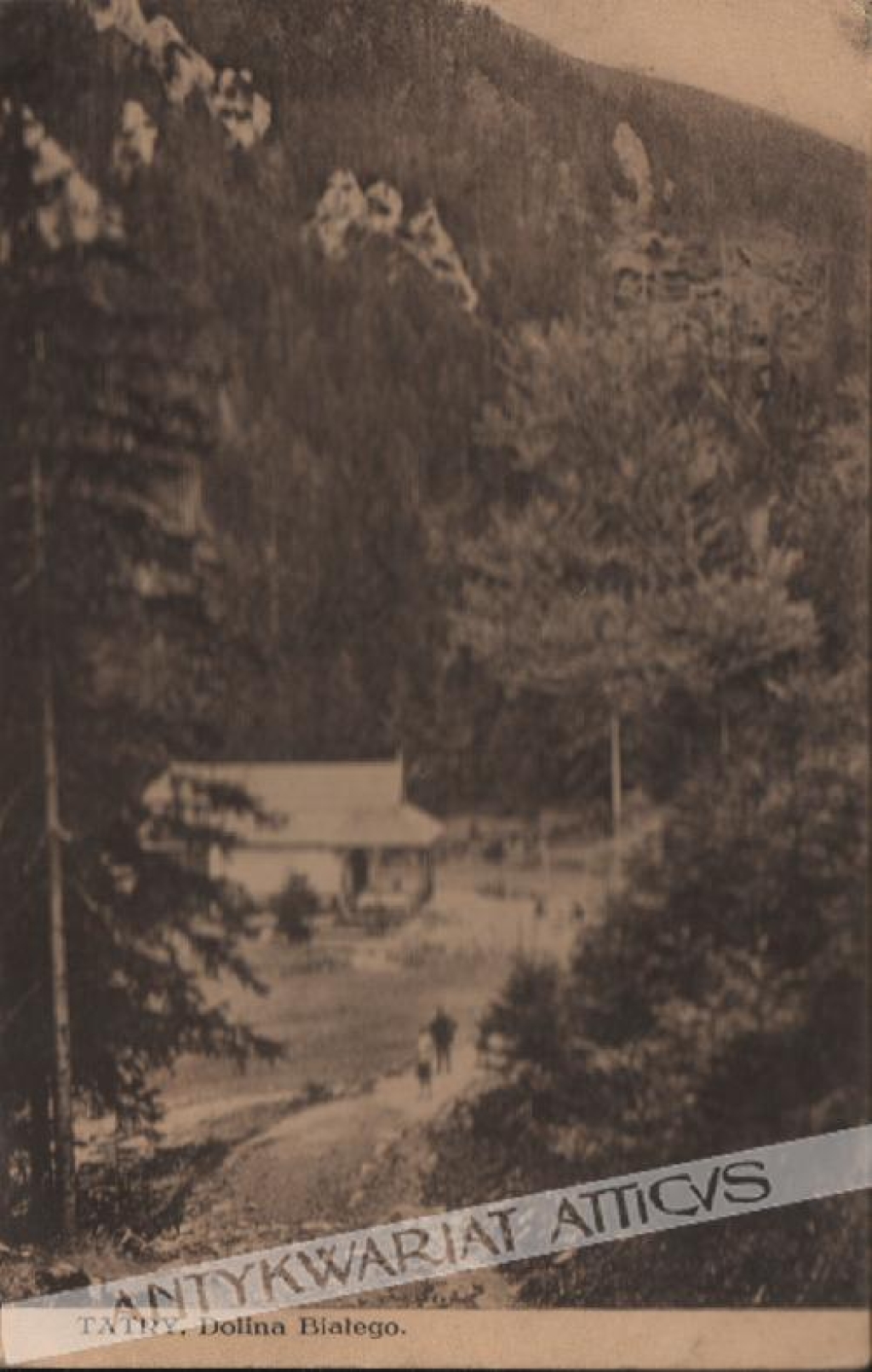 [pocztówka, ok.1925] Tatry. Dolina Białego