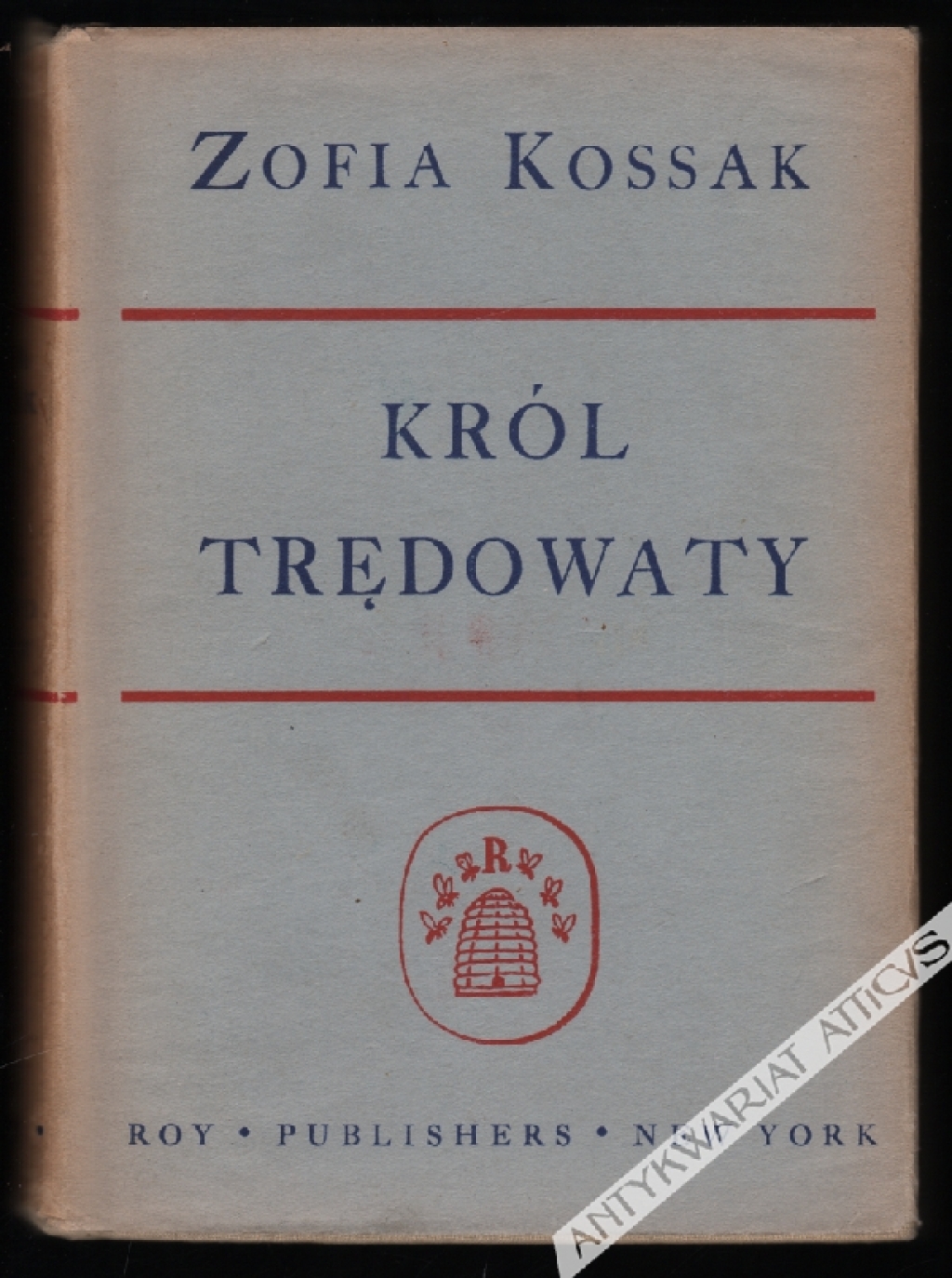 Król trędowaty. Powieść