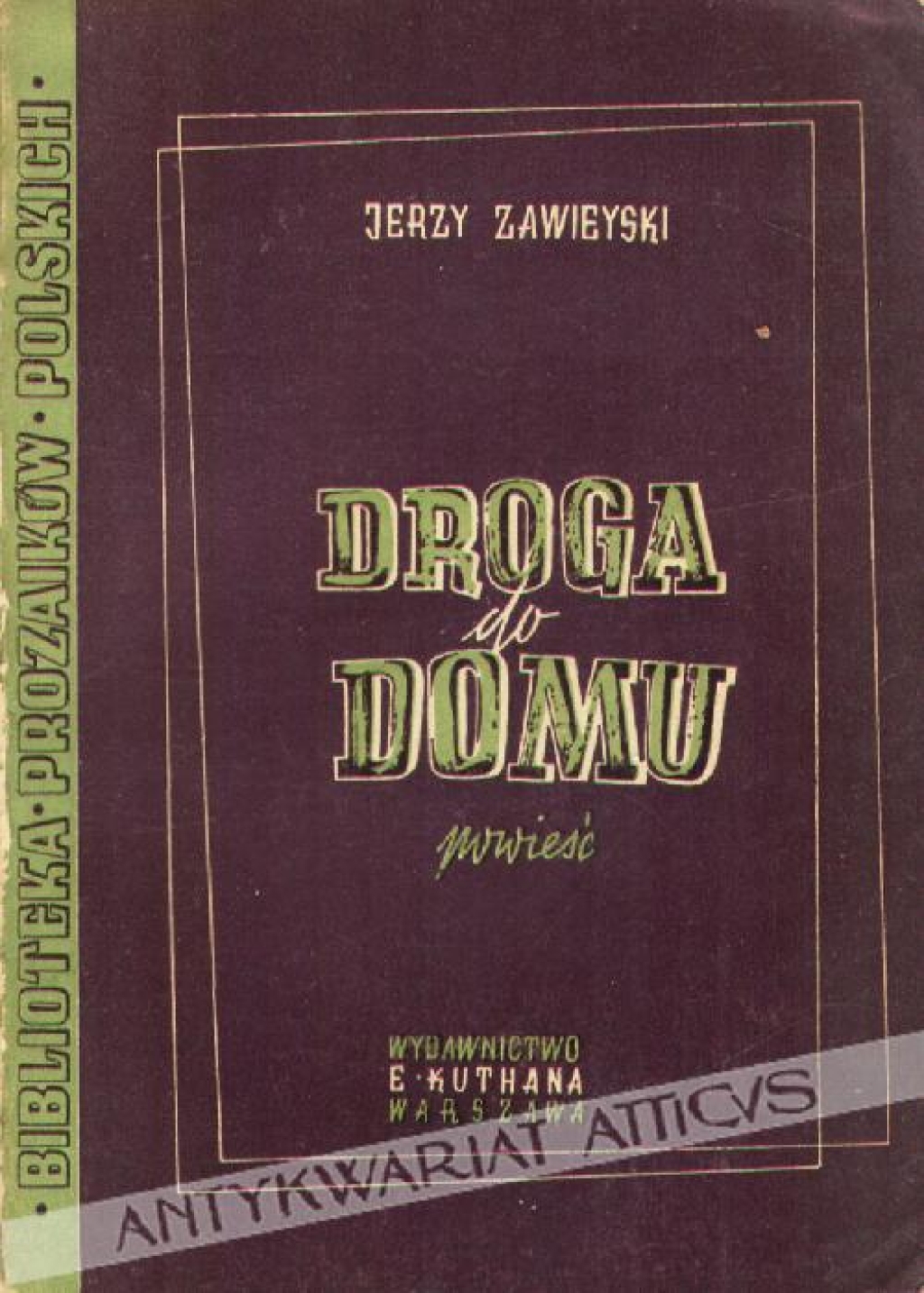 Droga do domu. Powieść