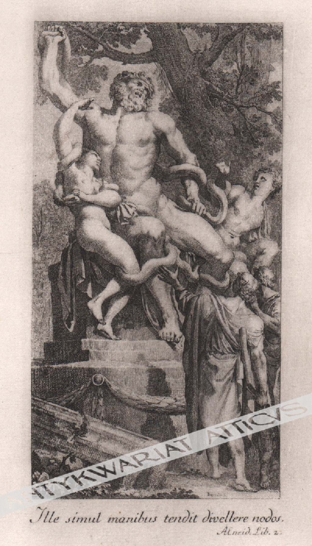 [rycina, ok. 1772 ] [Grupa Laokoona] Ille simul manibus tendit divellere nodos