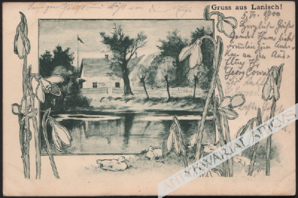 [pocztówka, ok. 1900] Gruss aus Lanisch ! [Łany]