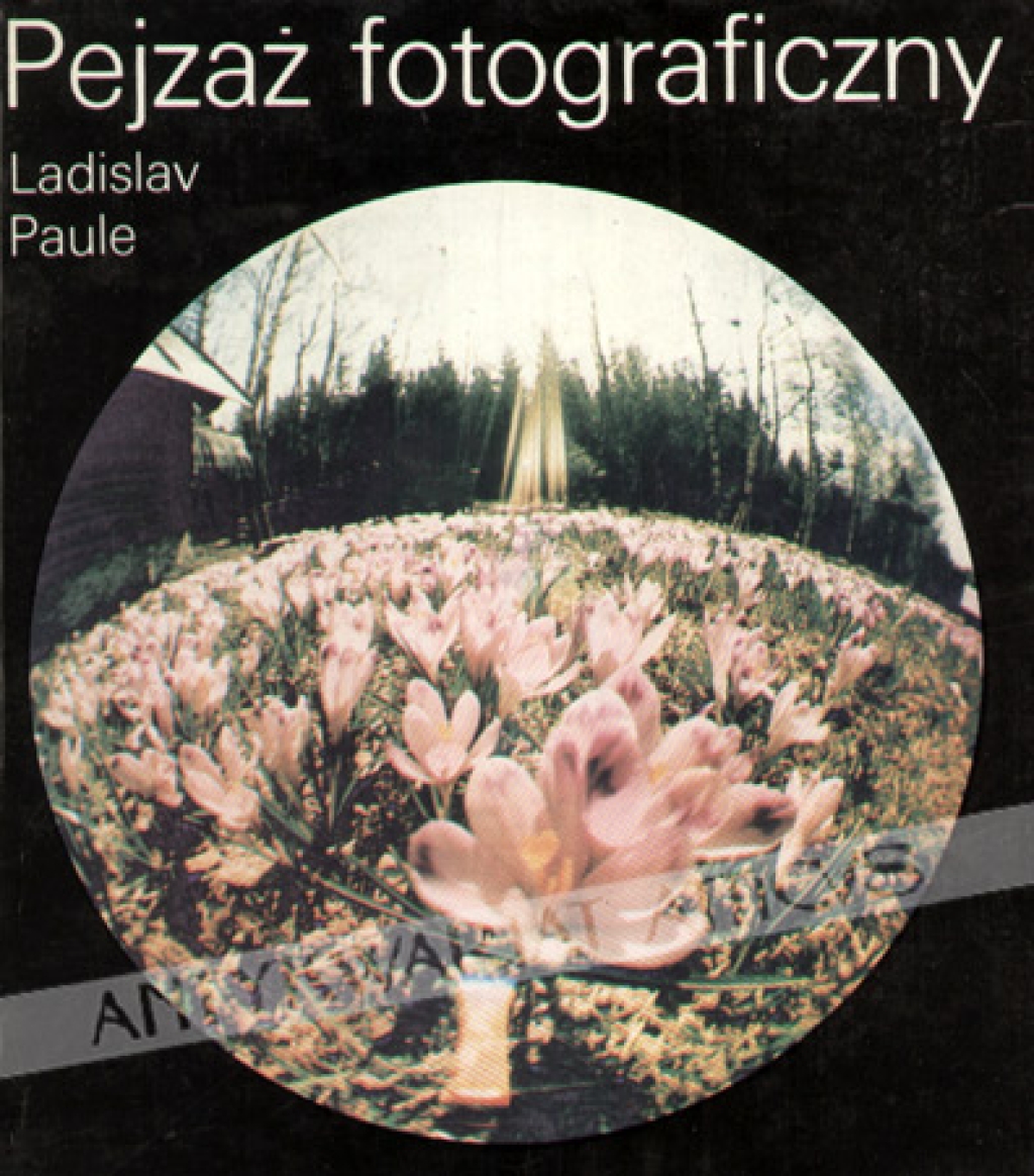 Pejzaż fotograficzny