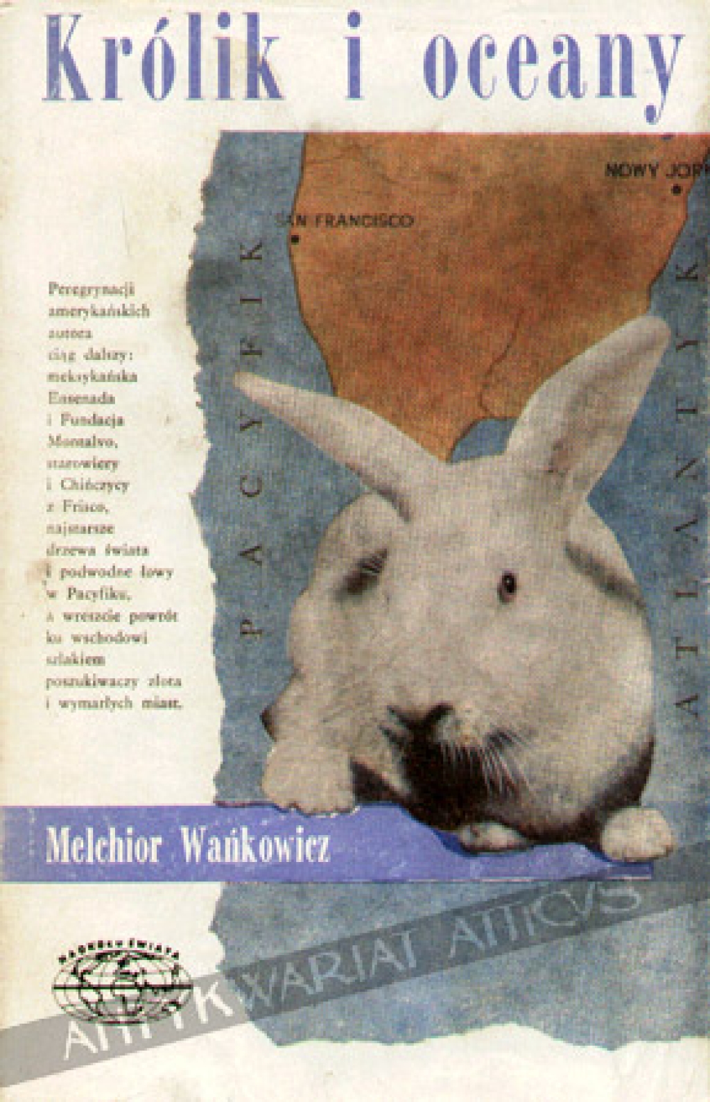 Królik i oceany
