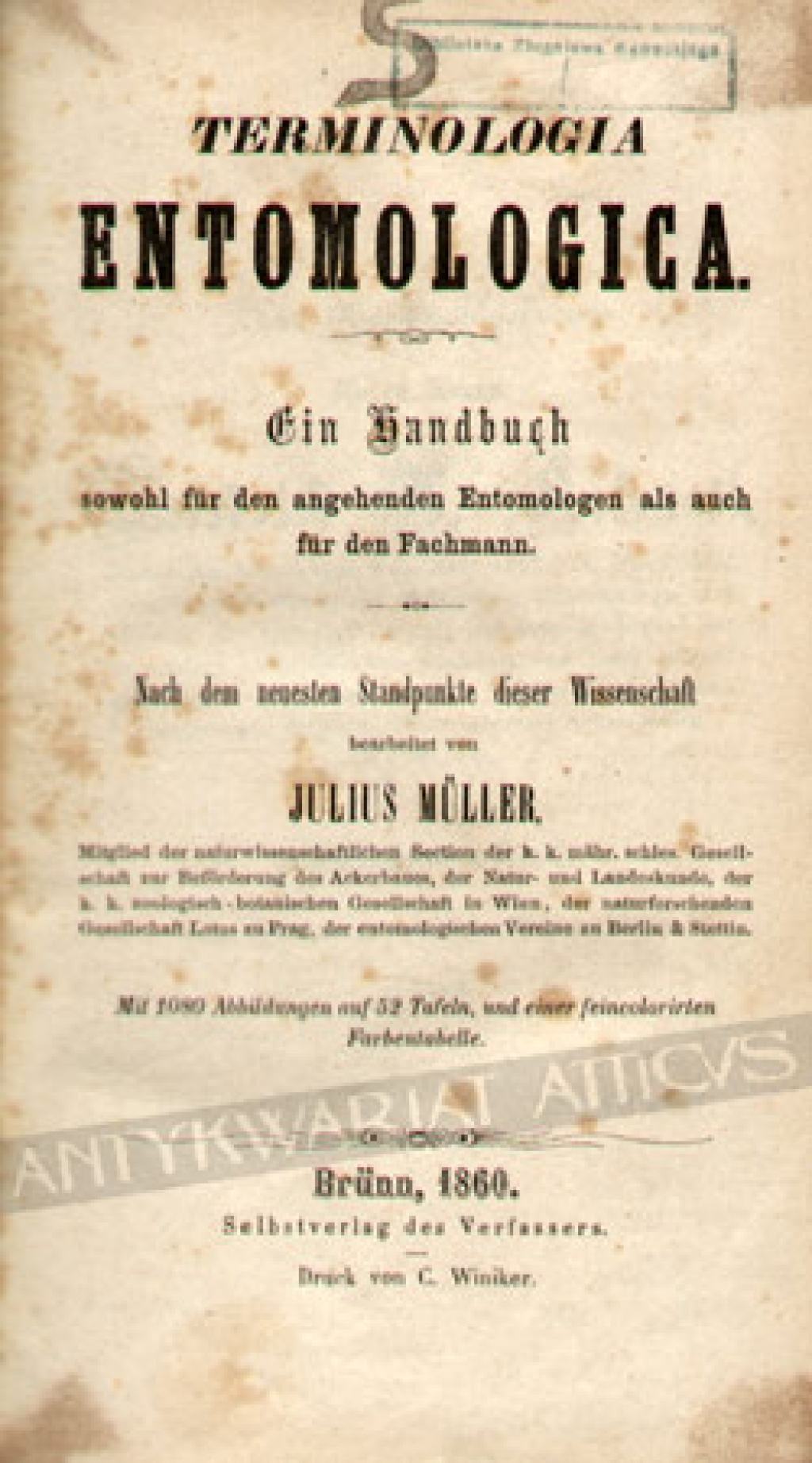 Terminologia entomologica. Ein Handbuch sowohl fur den angehenden Entomologen als auch fur den Fachmann