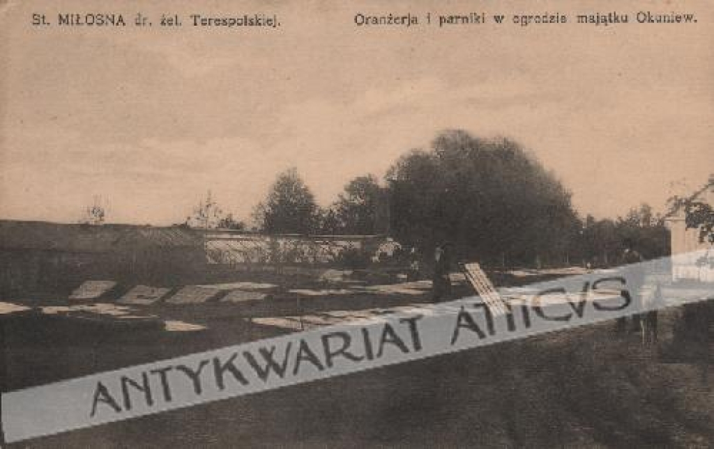 [pocztówka, ok. 1930] Stara Miłosna. Oranżerja i parniki w ogrodzie majątku Okuniew