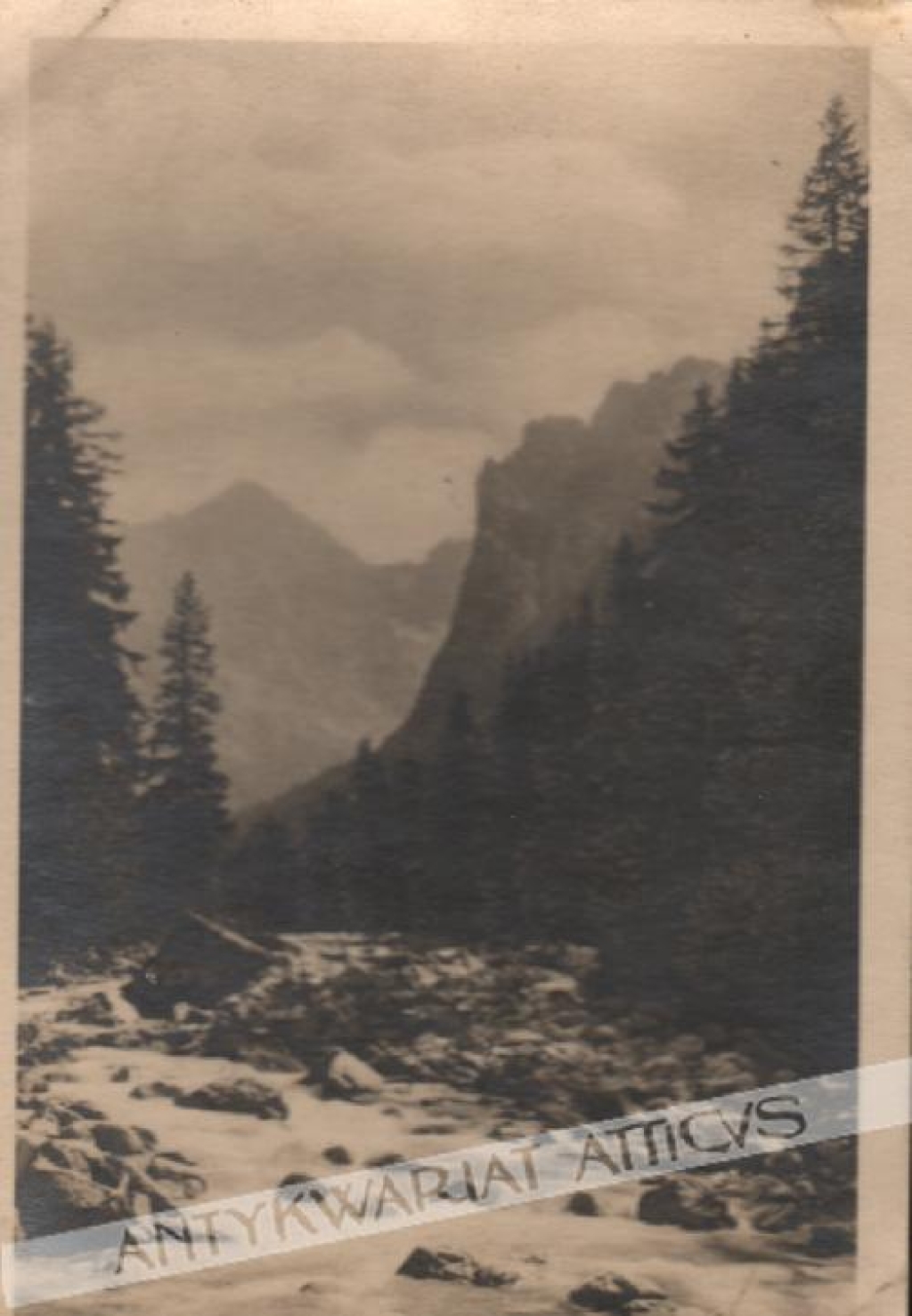 [pocztówka, ok.1925] Tatry - Dolina Białej Wody