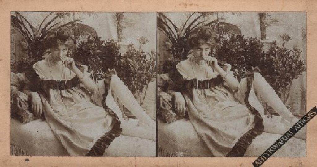 [fotografia, ok. 1900] [kobieta w halce]