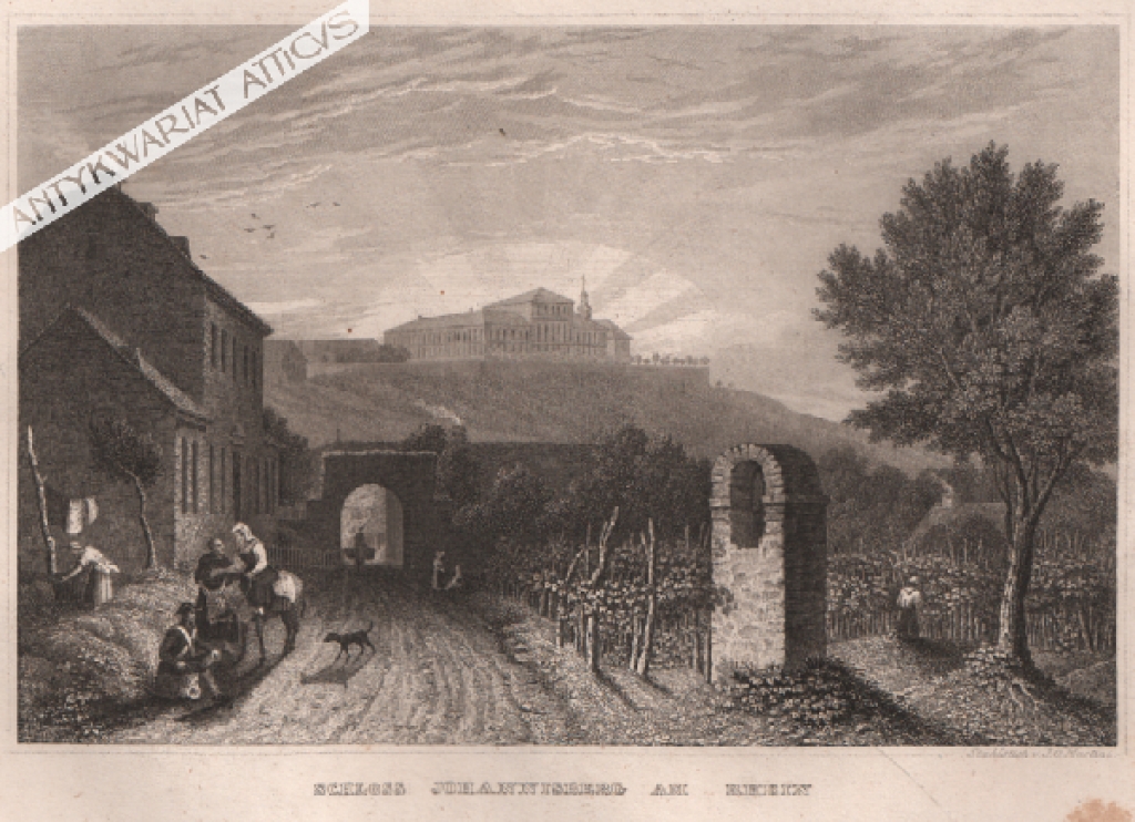 [rycina, ok. 1860] Schloss Johannisberg am Rhein  [pałac Johannisberg w dolinie Renu, winnica Riesling]