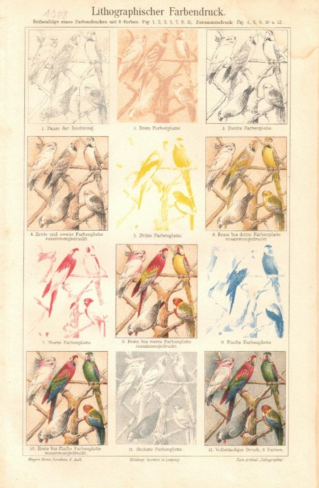 [rycina, 1908] Lithographischer Farbendruck. [litografia, kolejne fazy odbitki graficznej]