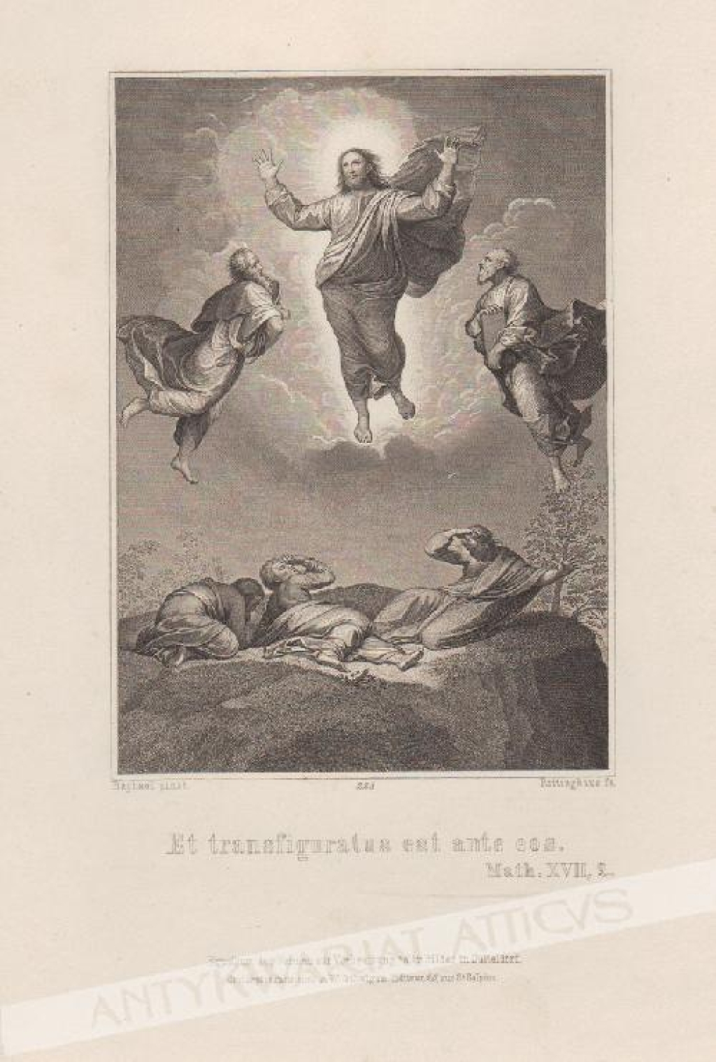 [rycina, 1860] Et transfiguratus est ante eos. Math. XVII, 2. [Wniebowstąpienie]