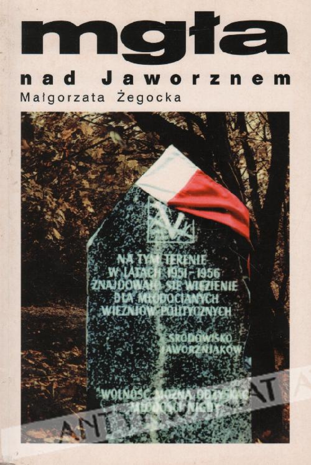 Mgła nad Jaworznem