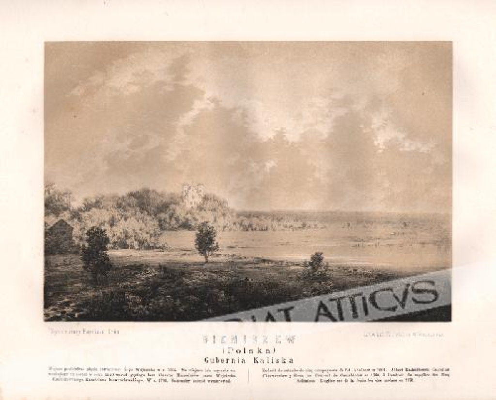 [rycina, 1882-1883] Bieniszew (Polska) Gubernia Kaliska