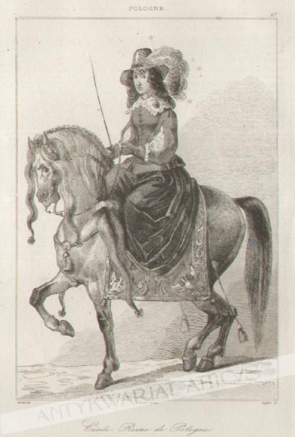 [rycina, ok. 1840] Cecile Reine de Pologne [Królowa Cecylia Renata]