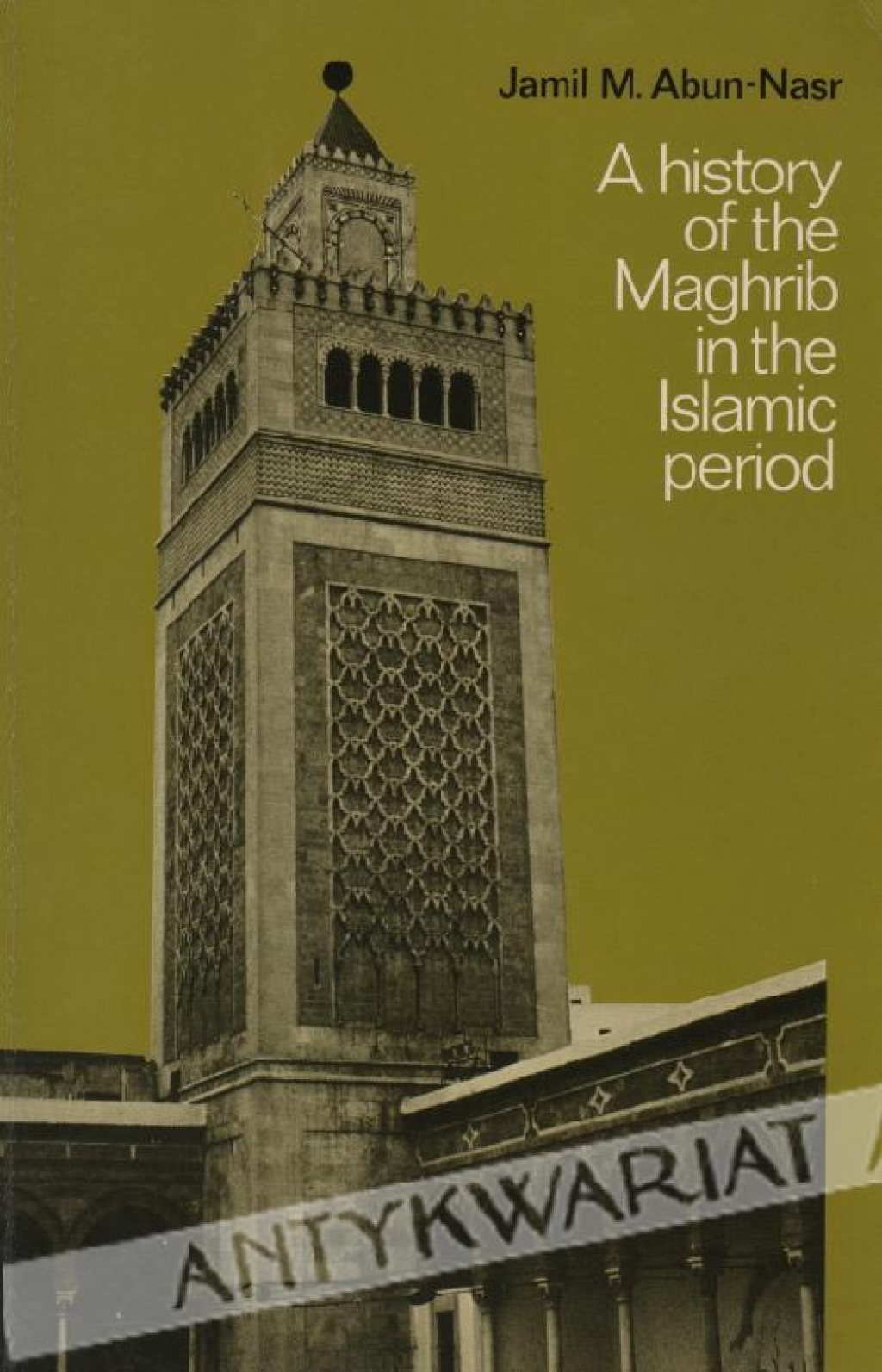 A history of the Maghrib in the Islamic period