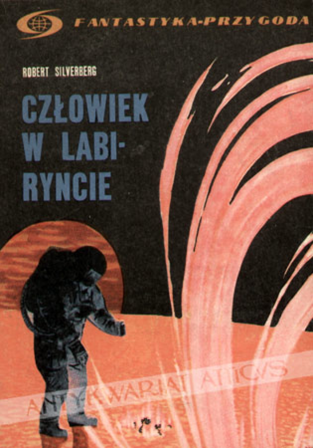 Człowiek w labiryncie