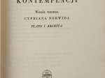 O zdegradowaniu kontemplacji. Wokół wiersza Cypriana Norwida "Plato i Archita"  [egz. J.W. Gomulickiego]