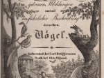 Die Naturgeschichte in getreuen Abbildungen und mit ausfugrlischer Beschreibung derselben. Vogel
