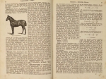 Illustriertes Landwirtschafts - Lexicon