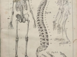 Zoologia krótko zebrana..... (z atlasem)